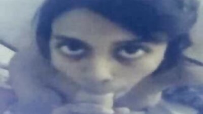 ಬಿಸಿ ಸುತ್ತಿನ ಕತ್ತೆ ಮತ್ತು ದೊಡ್ಡ ಚೇಕಡಿ ಹೊಂಬಣ್ಣದ ಕುರ್ಚಿ ಕುಳಿತಿದೆ